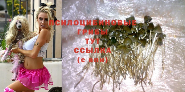 альфа пвп Михайловск