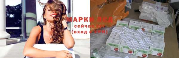 apvp Алексин