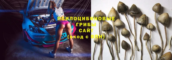 стафф Алексеевка